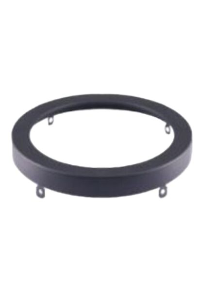 ortech_2109-ringbk_1