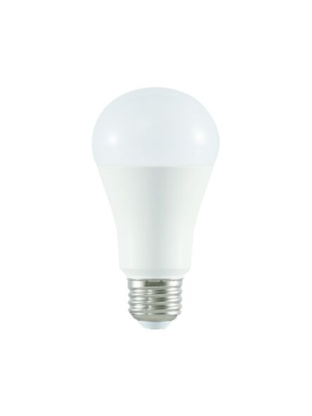 ortech_a19-14wd