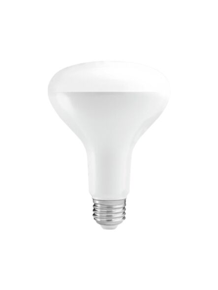 ortech_br30cob-12wd