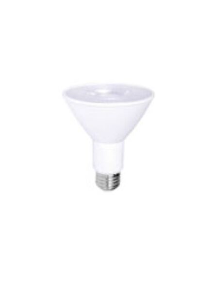 ortech_par30cob-10wd