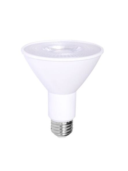 ortect_par30cob10w