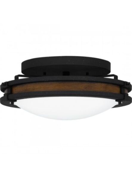 quoizel-lighting_qfl5610ni