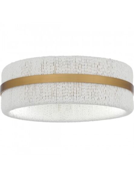 quoizel-lighting_qfl6220brg_1