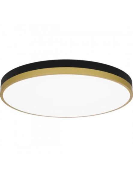 quoizel-lighting_wln1620mbkg
