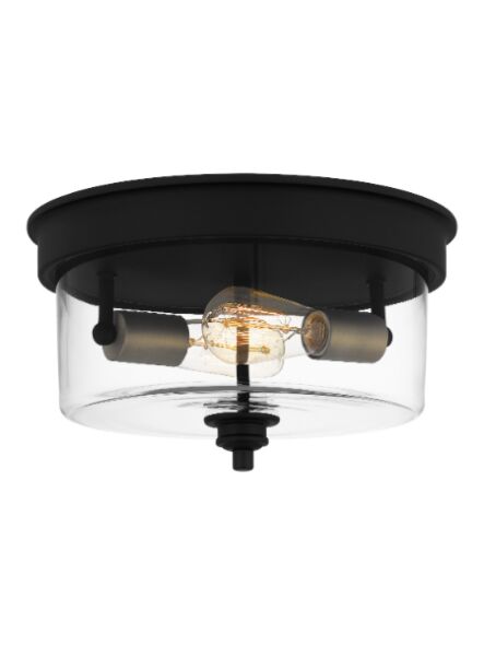 quoizel_cox1613mbk