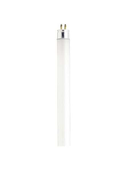 satco_s2905