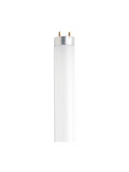 satco_s6518