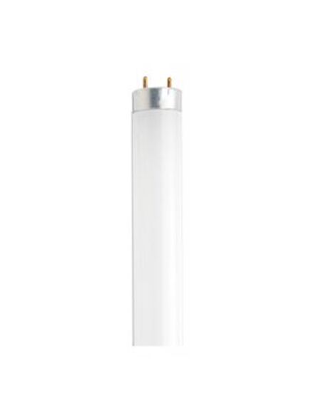satco_s6519