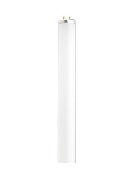 satco_s6560