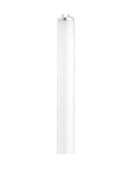 satco_s6570