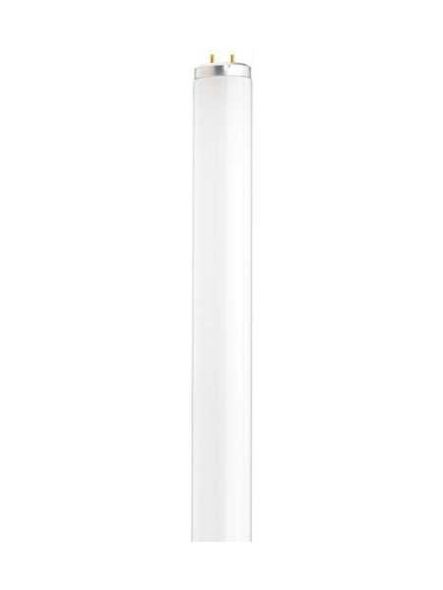 satco_s6610