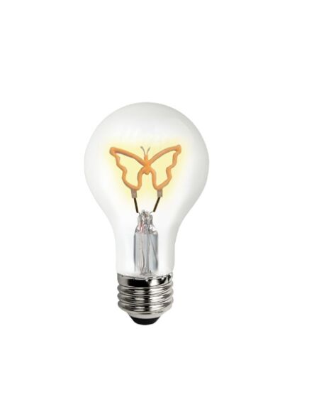 tcp_fa19butterflybd_1
