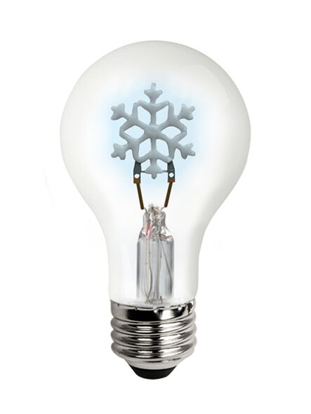 tcp_fa19snowbd