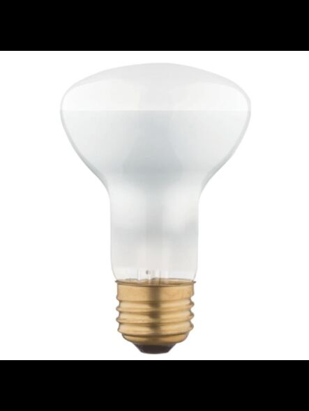 westinghouse_3680200