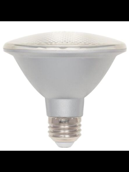 westinghouse_5005100