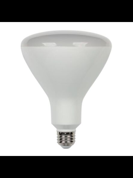 westinghouse_5306400