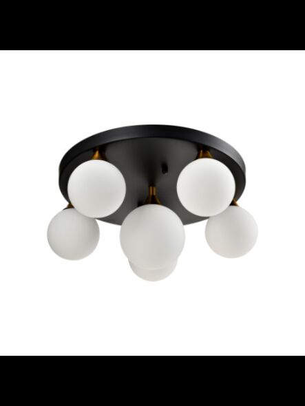 young-lighting_1371fm6