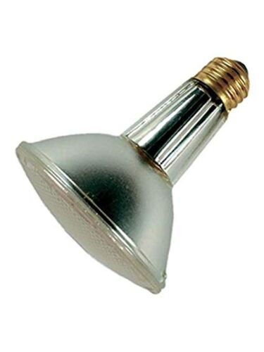 eiko_60par30ln-h-fl-120v