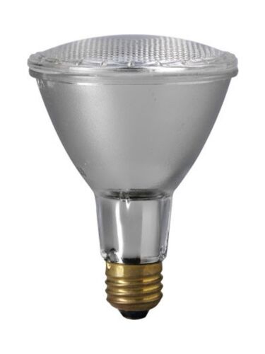 eiko_60par30ln-h-nfl-120v