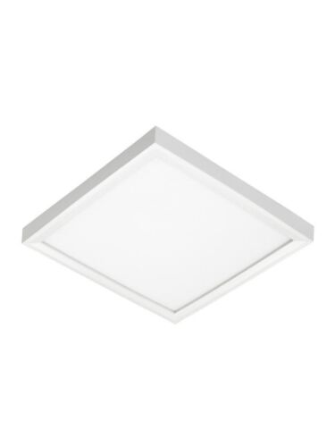 acuity_junjsfsq7in10lm27kmvztwh