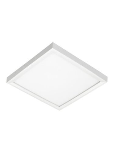 acuity_junjsfsq7in10lm4kmvztwh