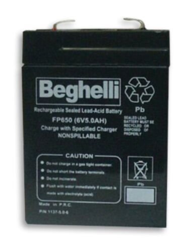 beghelli_batteries