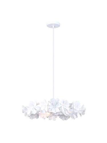 canarm_ich2022b03wh20