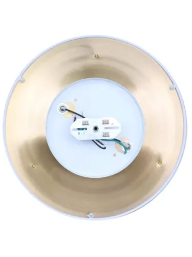 canarm_ifm2191b15gd_8