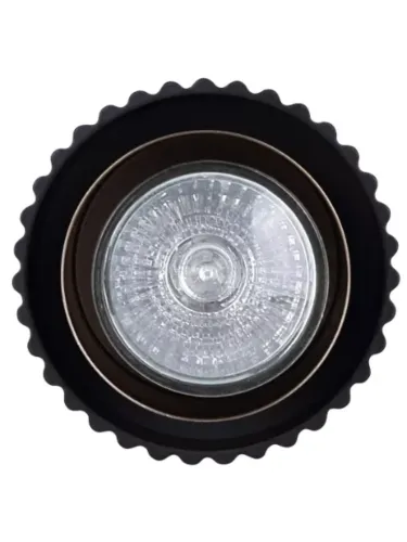 canarm_ipl1231a01bkg10_9