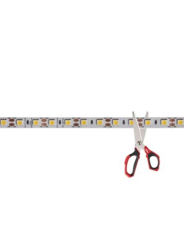 dainolite_cutled-17335