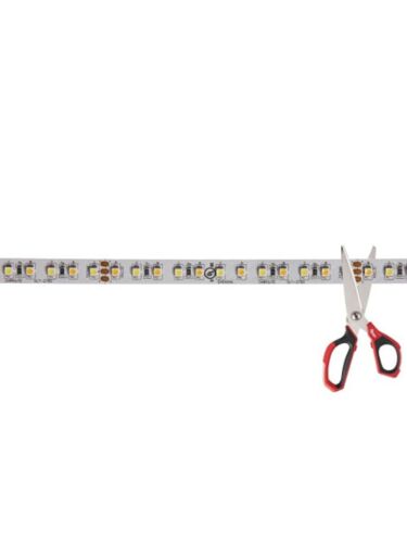 dainolite_cutled-2760