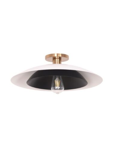 dainolite_pim-171sf-mw-mb