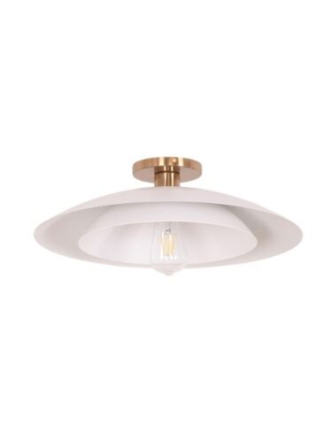 dainolite_pim-171sf-mw