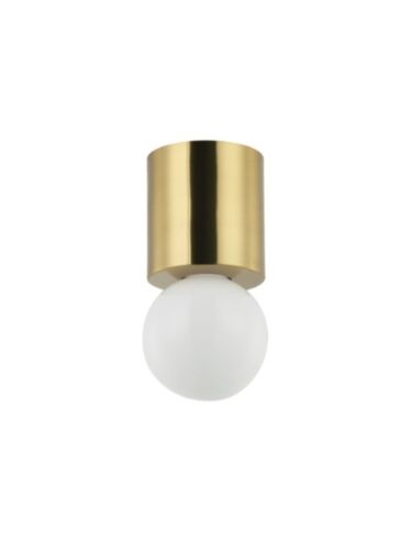 dainolite_trn-51fh-agb