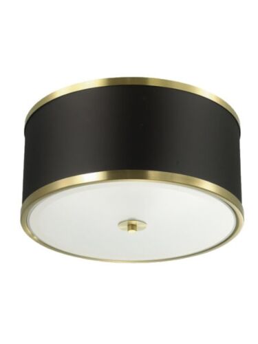 dainolite_zur-153fh-agb-bk