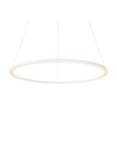 dals-lighting_rgpd24-cc-wh_1