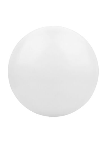 eel-lighting_clnb-337r11