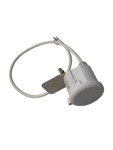 eel-lighting_smr5052