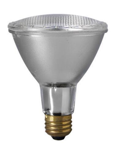 eiko_60par30ln-h-sp-120v