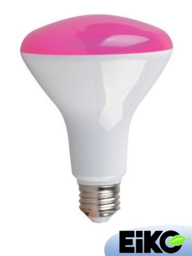 eiko_led11wbr30-pink-dim-g5