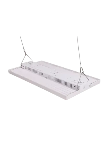 eiko_lh1-ps320-fcct-h_2