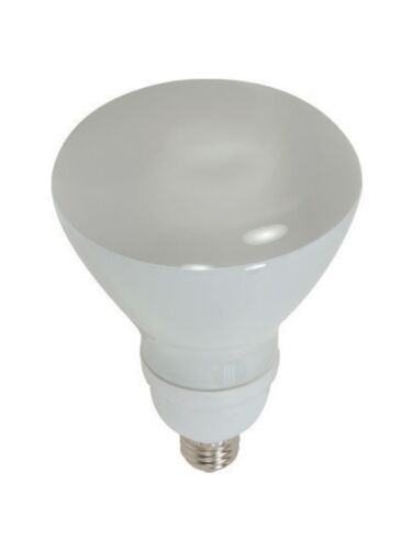 eiko_sp23-r40-50k-dim