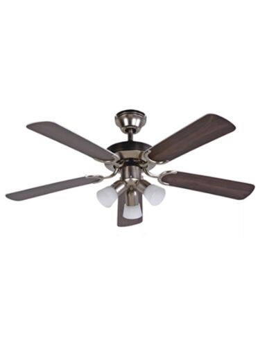 elite_ech-f1-1058-42-5