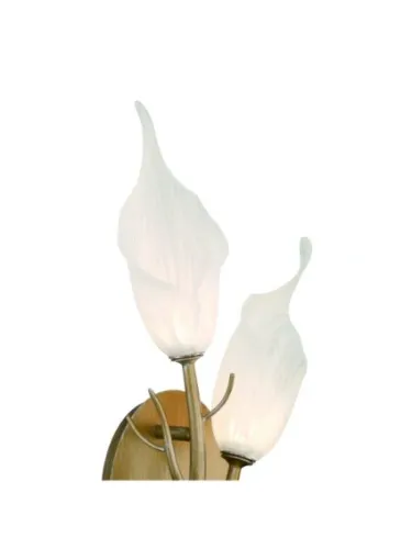 eurofase_47241-015_14