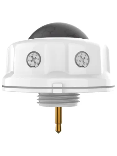 ledone_loc-acy-s-pirs-01-g1_1