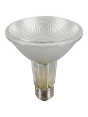 ledvance_39par30lnhalnfl25-120v