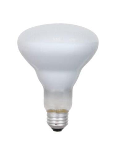 ledvance_65br30-fl-rp-120v