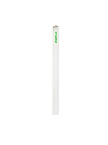 ledvance_f96t12-941-eco-cvp_1
