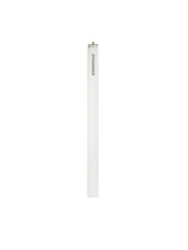 ledvance_f96t12cwx_1