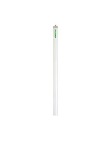 ledvance_fo96835eco_1